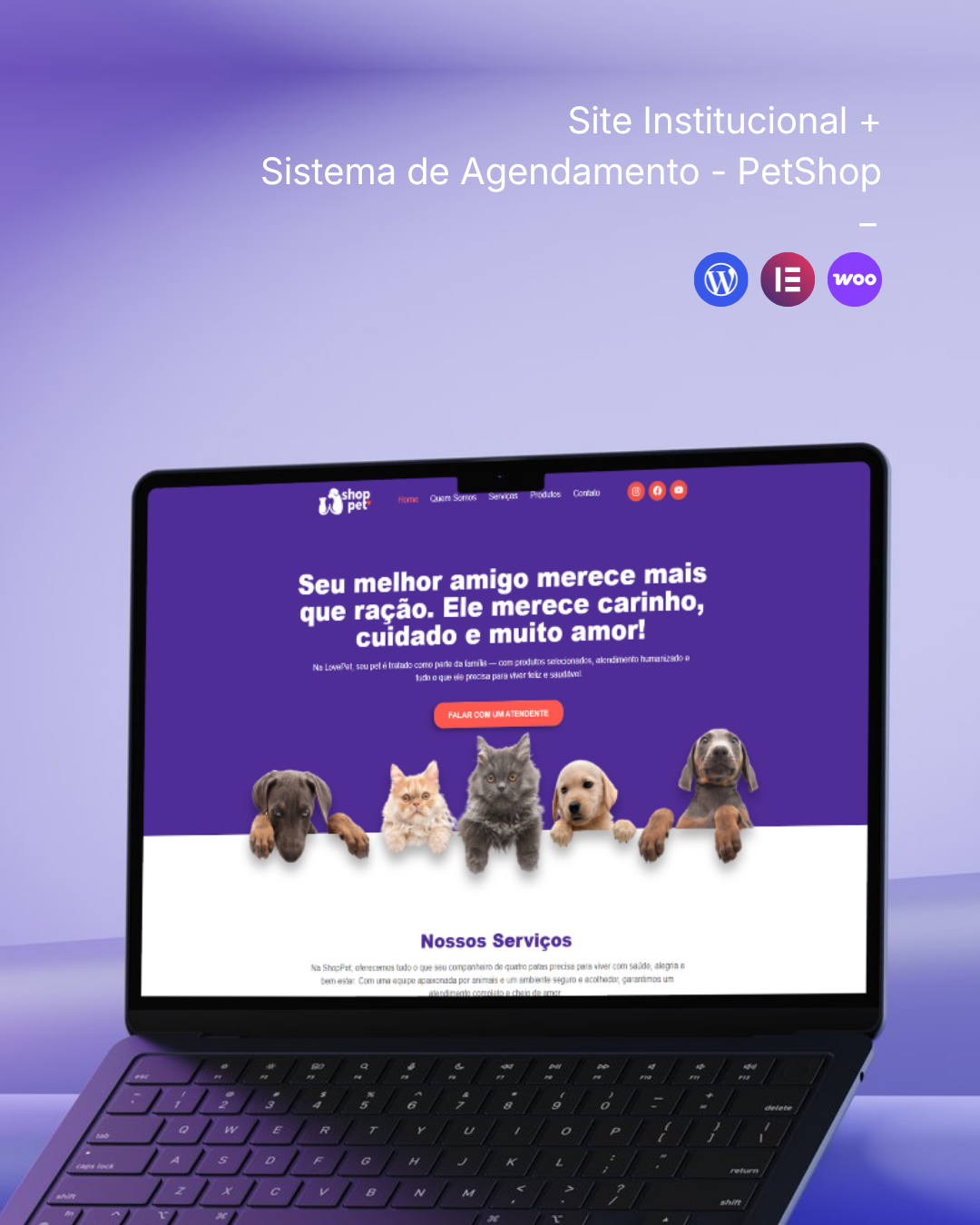 Projeto recente 16 de 19